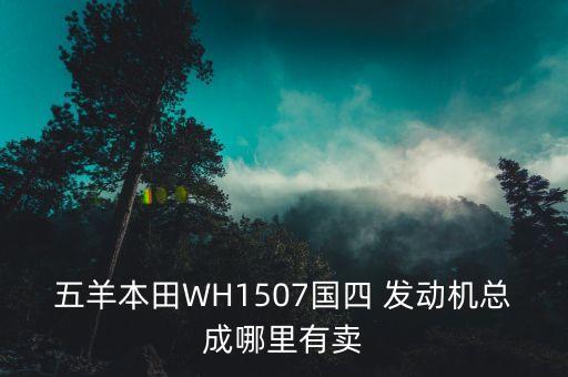 五羊本田WH1507国四 发动机总成哪里有卖