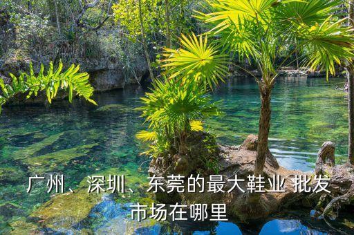  广州、深圳、东莞的最大鞋业 批发 市场在哪里