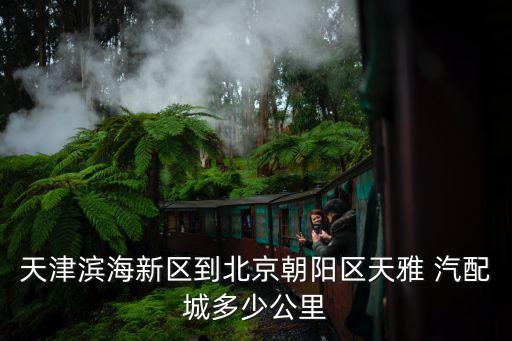 天津滨海新区到北京朝阳区天雅 汽配城多少公里