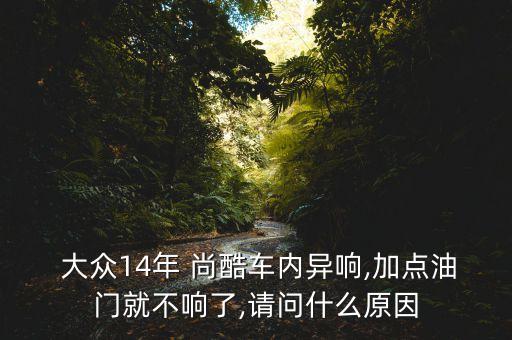  大众14年 尚酷车内异响,加点油门就不响了,请问什么原因