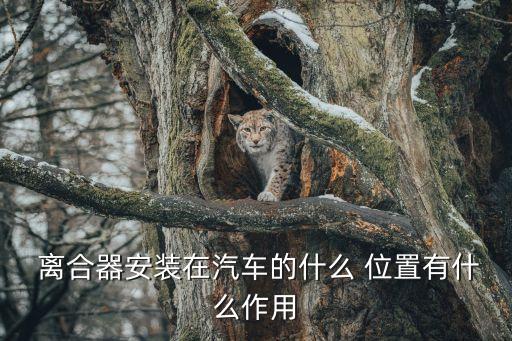 离合器片在哪个位置,货车离合器片哪个牌子好