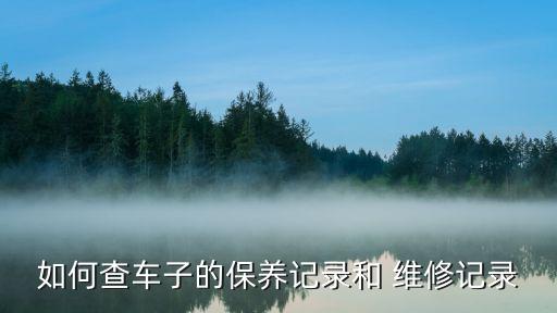 车辆维修查询