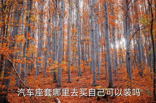  汽车座套哪里去买自己可以装吗