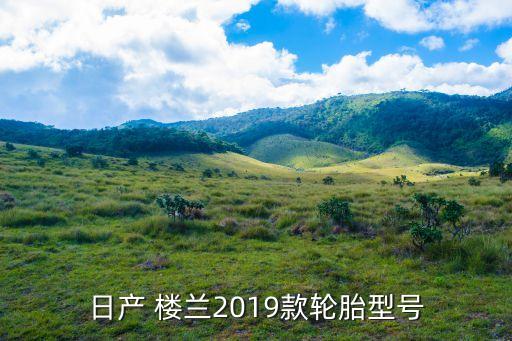 日产 楼兰2019款轮胎型号