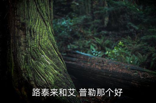 路泰来和艾 普勒那个好