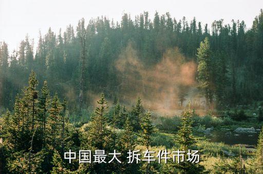 中国最大 拆车件市场