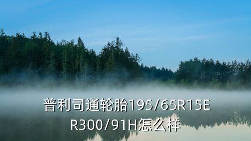 普利司通泰然者怎么样