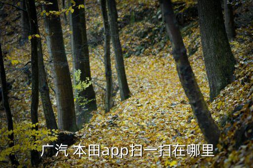  广汽 本田app扫一扫在哪里