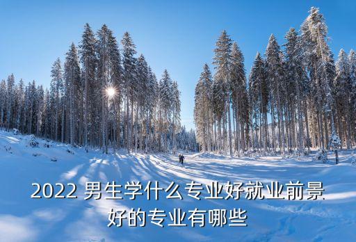 零基础学什么技术好男生2022,中年人零基础学什么技术