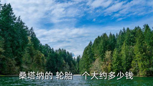 桑塔纳的 轮胎一个大约多少钱