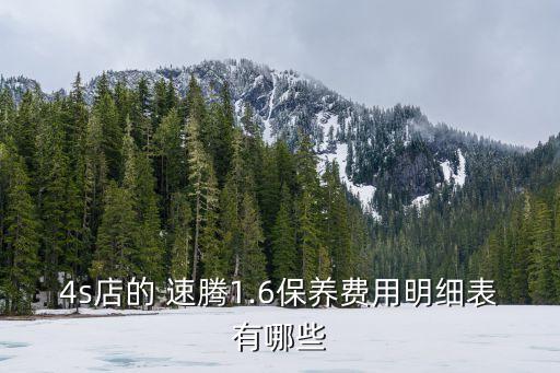 4s店的 速腾1.6保养费用明细表有哪些