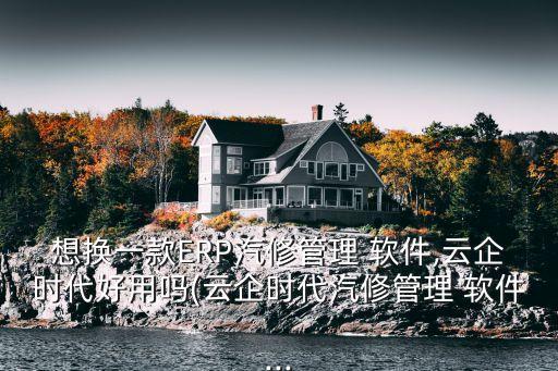 想换一款ERP汽修管理 软件,云企时代好用吗(云企时代汽修管理 软件...