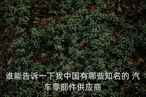 谁能告诉一下我中国有哪些知名的 汽车零部件供应商