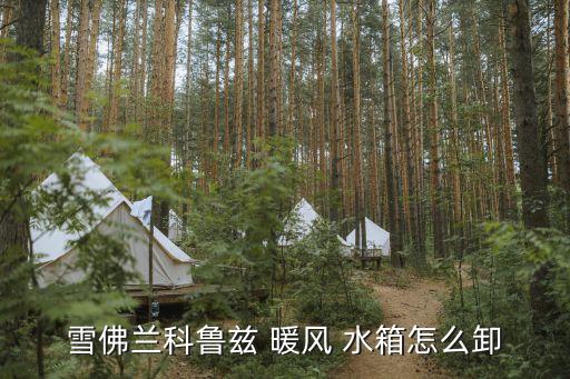 雪佛兰科鲁兹 暖风 水箱怎么卸