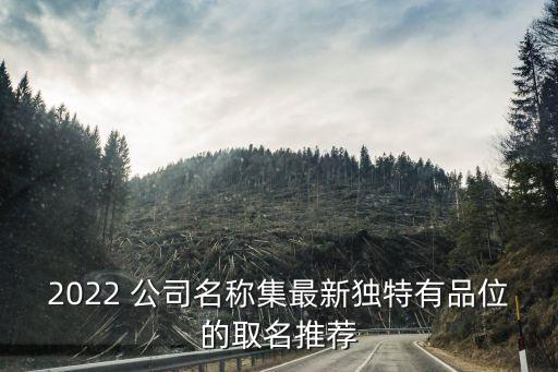 2022 公司名称集最新独特有品位的取名推荐