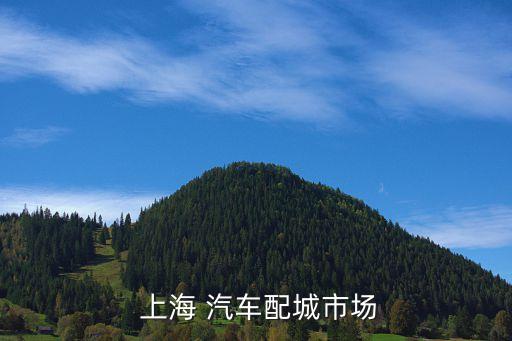 上海汽车配件配件,上海睿马汽车配件怎么样