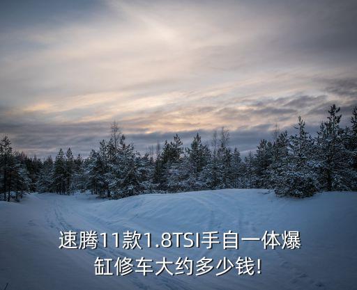  速腾11款1.8TSI手自一体爆缸修车大约多少钱!