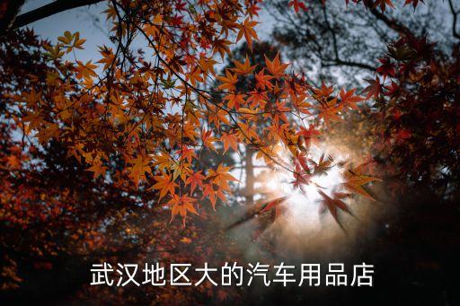  武汉地区大的汽车用品店