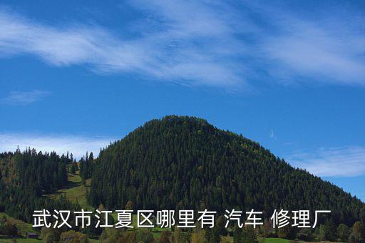 武汉市江夏区哪里有 汽车 修理厂