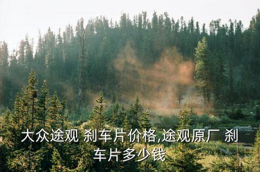大众途观 刹车片价格,途观原厂 刹车片多少钱