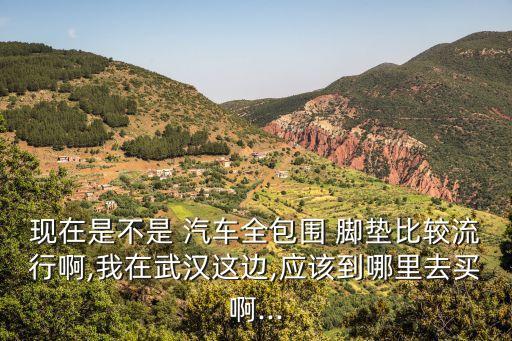 现在是不是 汽车全包围 脚垫比较流行啊,我在武汉这边,应该到哪里去买啊...