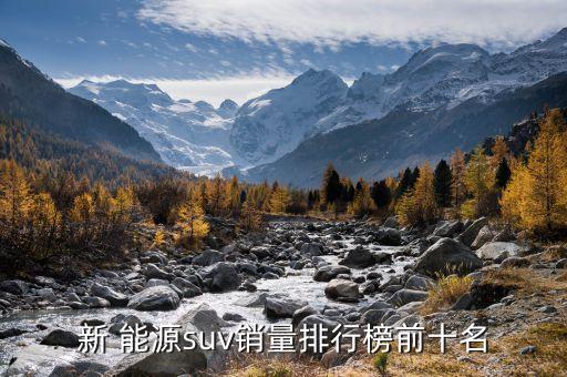 新 能源suv销量排行榜前十名
