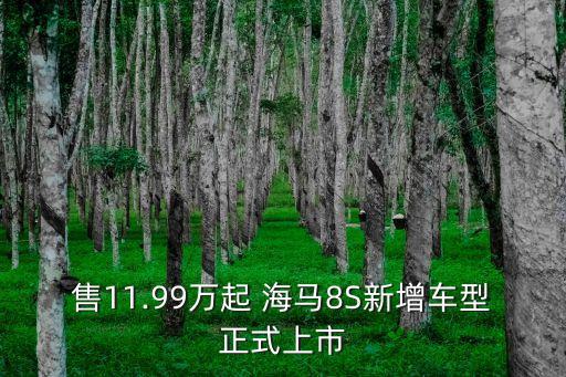 售11.99万起 海马8S新增车型正式上市