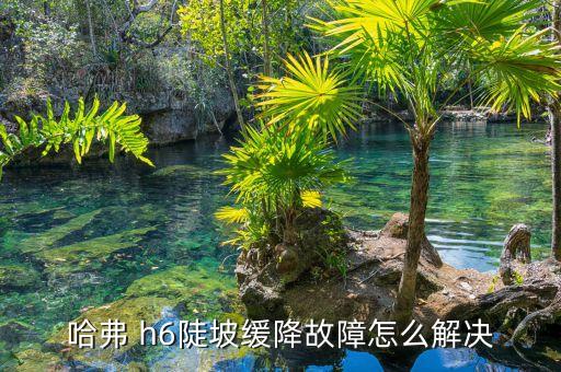 哈弗 h6陡坡缓降故障怎么解决