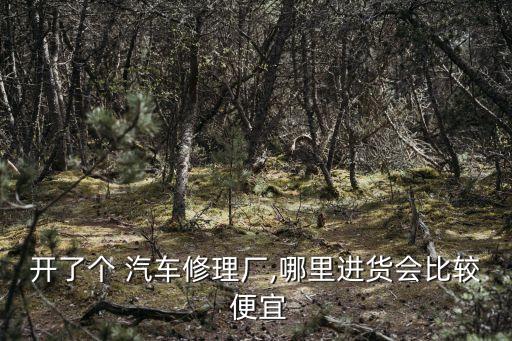 开了个 汽车修理厂,哪里进货会比较 便宜