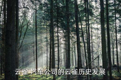 云雀 汽车公司的云雀历史发展