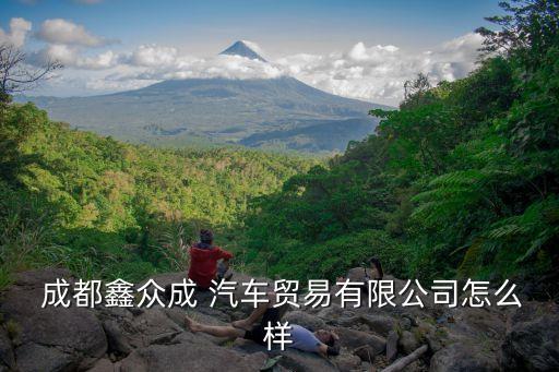  成都鑫众成 汽车贸易有限公司怎么样