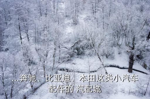 ...奔驰、比亚迪、本田这类小汽车配件的 汽配城