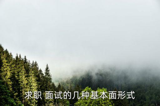 求职 面试的几种基本面形式