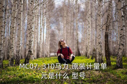 MC07, 310马力,原装计量单元是什么 型号