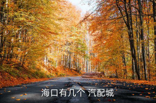 随州汽配城在什么地方,附近的汽配城在什么地方