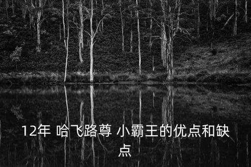 12年 哈飞路尊 小霸王的优点和缺点