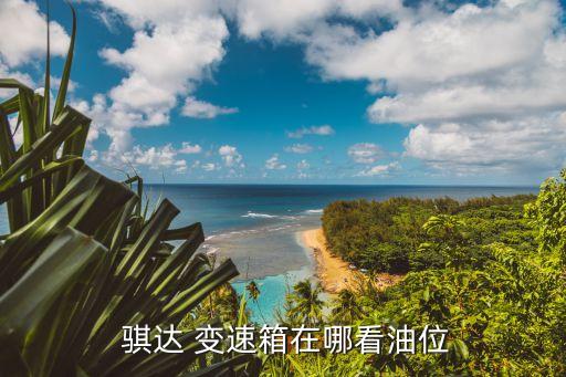  骐达 变速箱在哪看油位