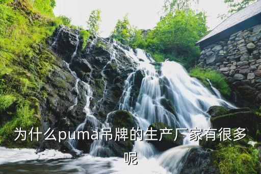为什么puma吊牌的生产厂家有很多呢