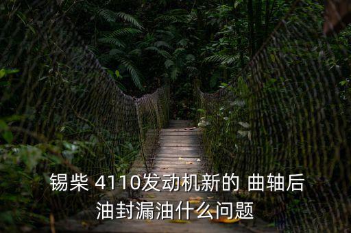  锡柴 4110发动机新的 曲轴后油封漏油什么问题