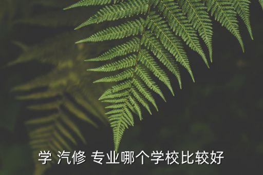 汽修专业专科学校哪里最好,广西学汽修最好的专科学校