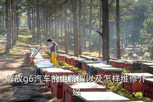 解放g6汽车的电路图以及怎样维修介绍