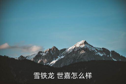 雪铁龙 世嘉怎么样