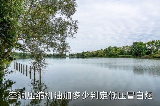 别克新世纪空调润滑油加多少