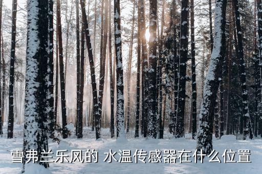 雪弗兰乐风的 水温传感器在什么位置