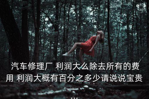  汽车修理厂 利润大么除去所有的费用 利润大概有百分之多少请说说宝贵...