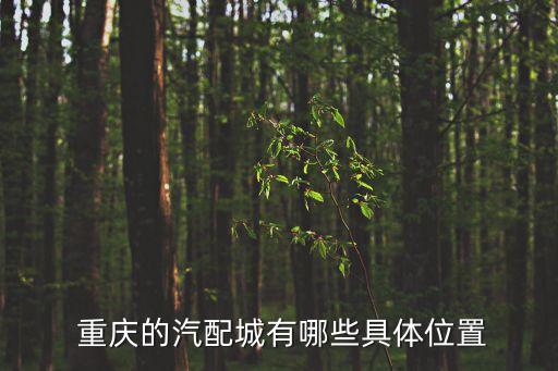  重庆的汽配城有哪些具体位置