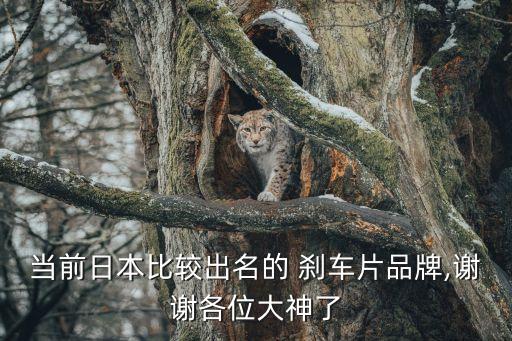 当前日本比较出名的 刹车片品牌,谢谢各位大神了