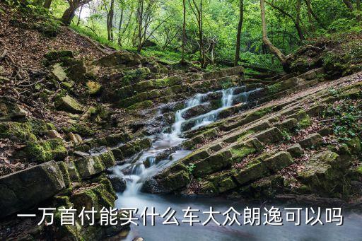 一万首付能买什么车大众朗逸可以吗