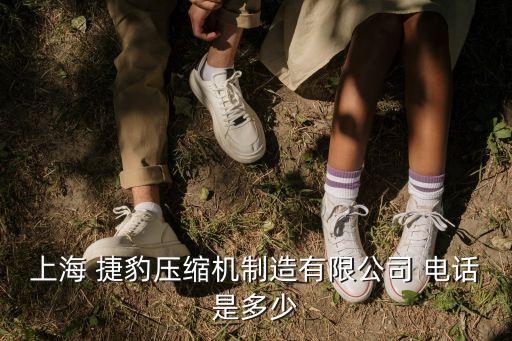 上海 捷豹压缩机制造有限公司 电话是多少