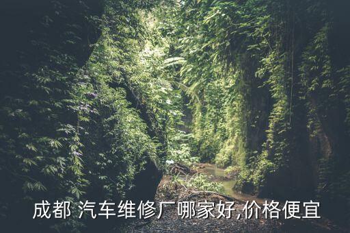  成都 汽车维修厂哪家好,价格便宜